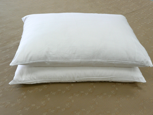 Silk Pillow with Cotton Cover - Click Image to Close