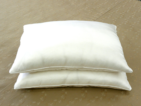Silk Pillow with Silk Cover - Click Image to Close